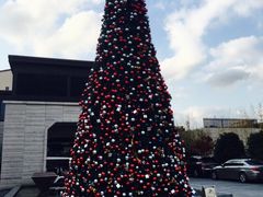 -上海崇明金茂凯悦酒店