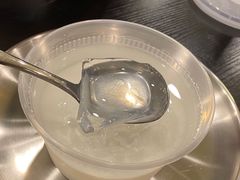 经典原味椰子冻-糖匠(垂虹路店)