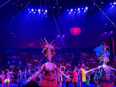 -珠海横琴长隆《卡卡虎奇遇记》