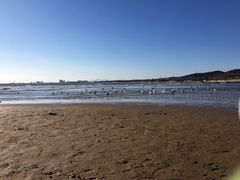 -老虎石海上公园