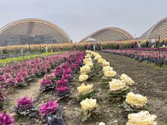 -中国天府农业博览园