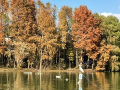 -上海海湾国家森林公园