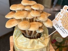 -烹然四季椰子鸡火锅(姚家园万象汇店)