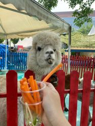 -萌宠亲子动物乐园(槐房万达店)