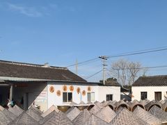 -苏州市吴中区光福窑上花果蜜饯厂