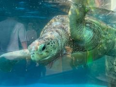-海合安成都极地海洋公园