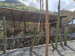 -MOJ coffee(瓯海泽雅水碓坑店)