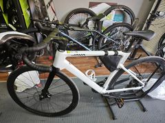 -道路口单车爱瓦士dahon大行