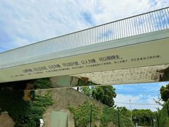 -上海山野camping·户外天幕烧烤·团建拓展营地