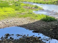 -北海金海湾红树林生态旅游区