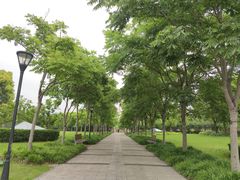-上海山野camping·户外天幕烧烤·团建拓展营地