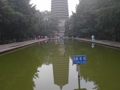 -玲珑塔公园
