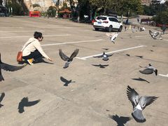 -西霞口神雕山野生动物世界