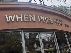 -WHEN PIGS FLY当猪飞