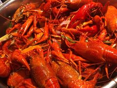 高压锅蒸大虾-蚝翅·烧烤·海鲜粥·龙虾季(高新区智慧园店)