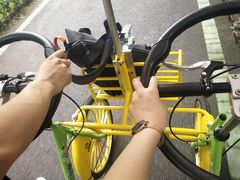 -合肥滨湖国家森林公园