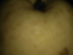 -明辉果业(章家巷小区延长西路526弄店)