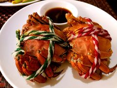 -339旋转餐厅(天府熊猫塔店)