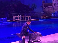 -华夏文旅海洋公园