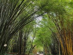 -晓港公园