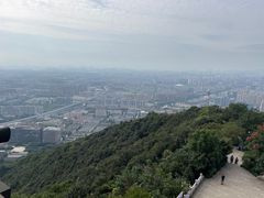 -杭州半山国家森林公园