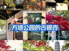 -常熟方塔园