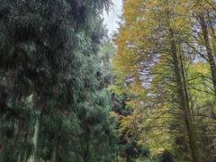 -山王坪喀斯特国家生态公园
