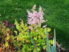 -七宝老街-闵行市民文化广场