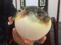 -观桥阁(锦溪店)