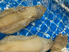 -江杨农产品批发市场