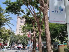 -三亚吉阳区星河实验幼儿园