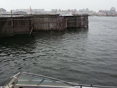 -珍宝蟹舫·巴城味道(巴城总店)