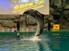 -威海华夏城景区