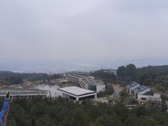 -铁山坪森林公园