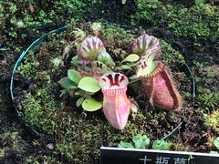 -国家植物园南园