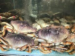 -超级物种(省府店)