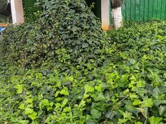 -昆明市金殿名胜区