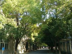 -汉水公园