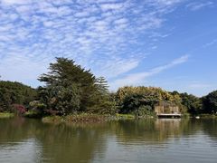 -海珠湖公园