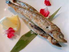 烤多春鱼-禾喏精致料理美术馆(金狮广场店)