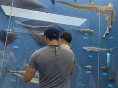 -国家自然博物馆