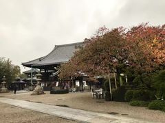 -心斋桥