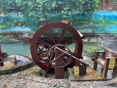 -广州白江湖森林公园