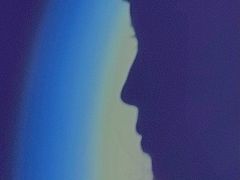 -极木²邸 人与宠物·互动社区