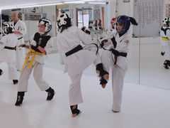 -极真空手道修远道场