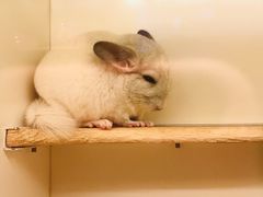 -龙猫仔乐园(惠福东路店)