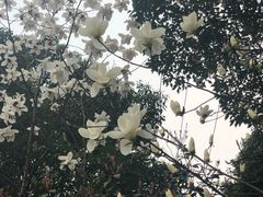 -荆川公园