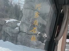 -汤旺河林海奇石景区
