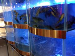 -蛙一刀·麻椒鱼火锅(金仙桥店)