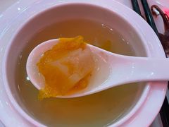 -诺莱仕游艇会